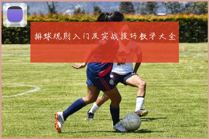 排球规则入门及实战技巧教学大全