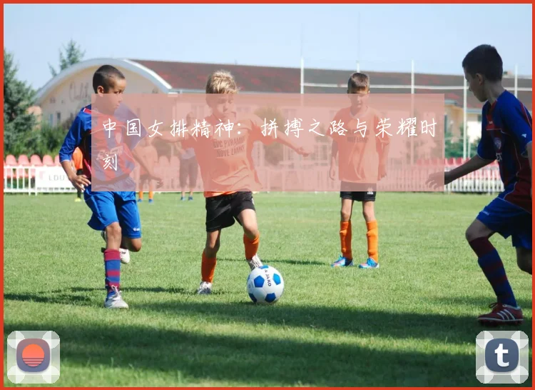 中国女排精神：拼搏之路与荣耀时刻