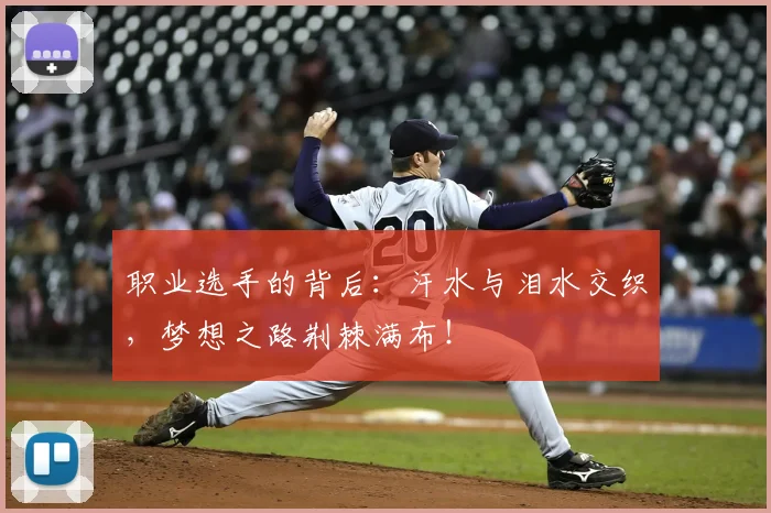 职业选手的背后:汗水与泪水交织,梦想之路荆棘满布!