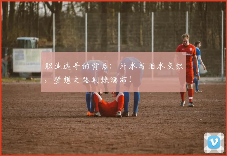 职业选手的背后:汗水与泪水交织,梦想之路荆棘满布!