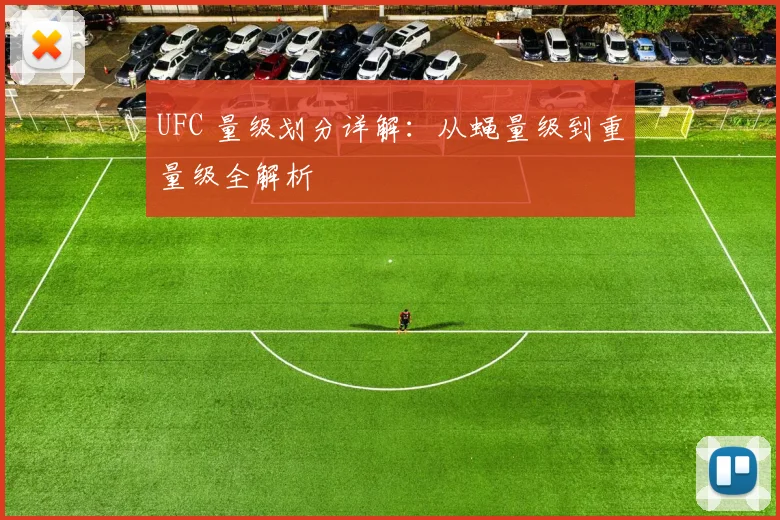 UFC 量级划分详解：从蝇量级到重量级全解析