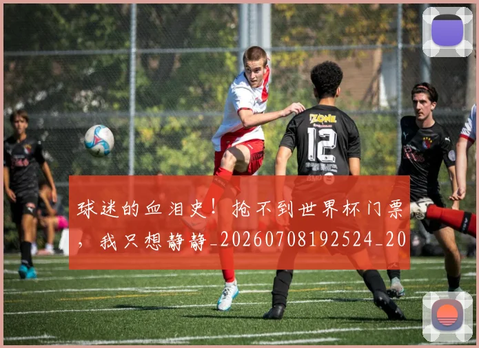 球迷的血泪史！抢不到世界杯门票，我只想静静_20260708192524_20260802161436