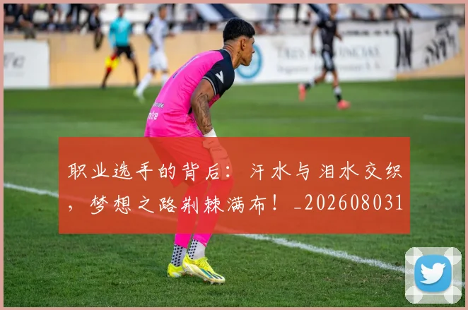 职业选手的背后：汗水与泪水交织，梦想之路荆棘满布！_20260803143908