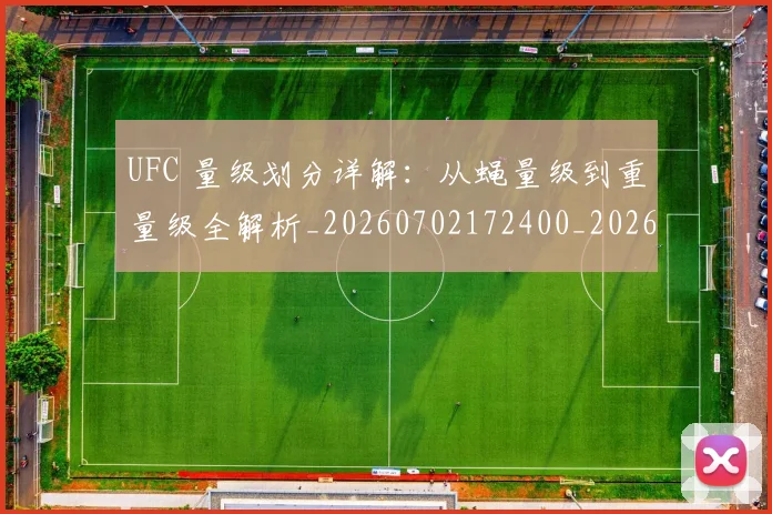UFC 量级划分详解：从蝇量级到重量级全解析_20260702172400_20260714220040
